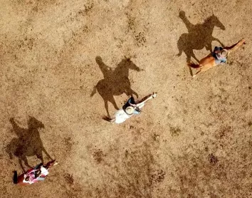 Stockmen de Nouivelle-Calédonie