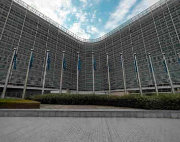 Bruxelles Parlement Monument Drapeaux